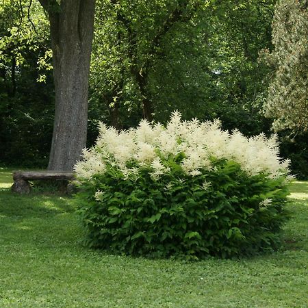 Landgasthof Em Lade Dahlem (Euskirchen) Exterior foto
